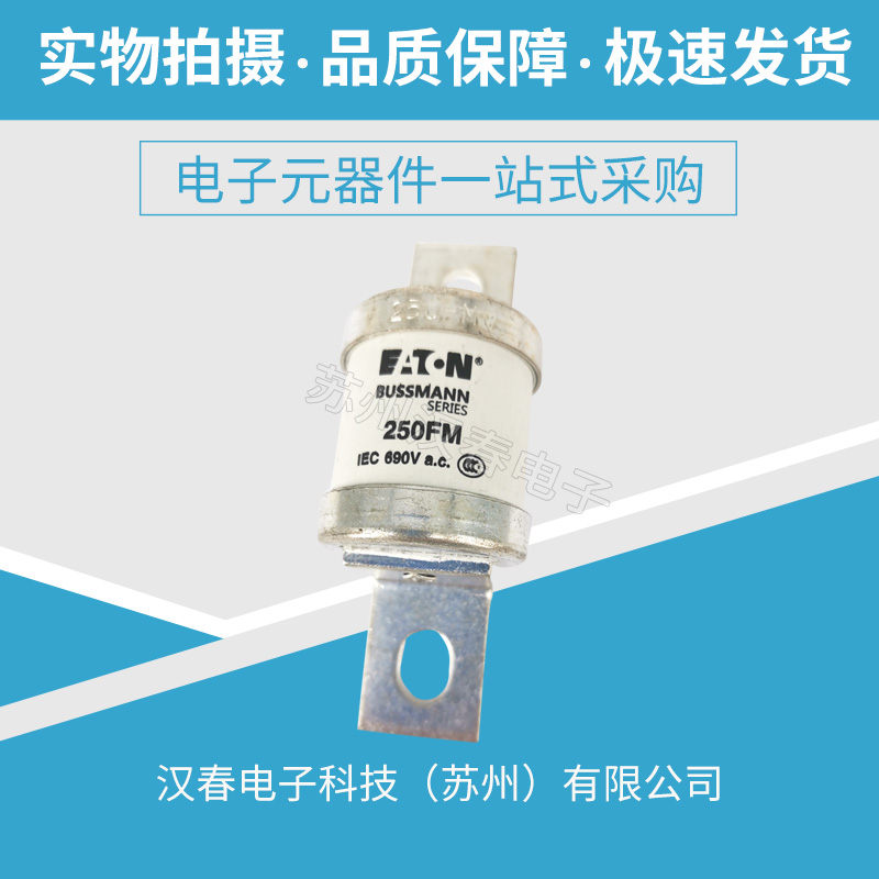 BS88：4保險(xiǎn)絲 250FM
