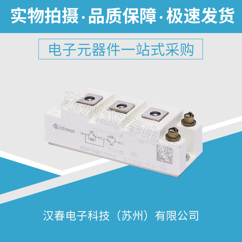 BSM75GB170DN2