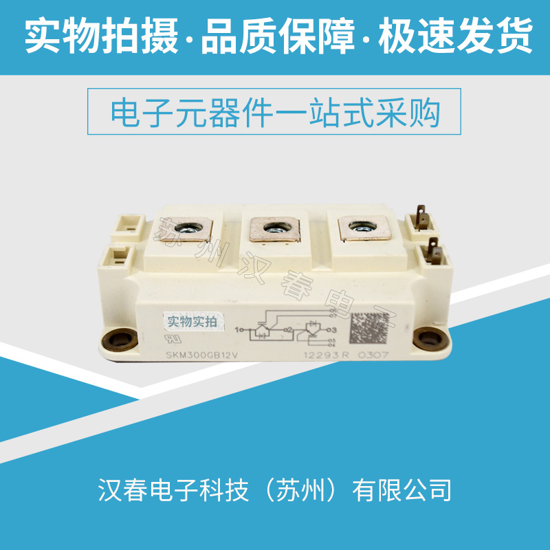 SKM300GB12V